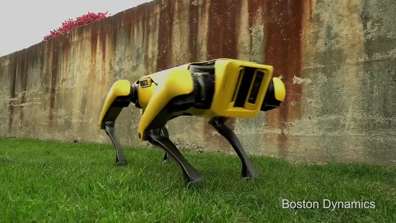 Видео: Boston Dynamics показали своего самого милого робота