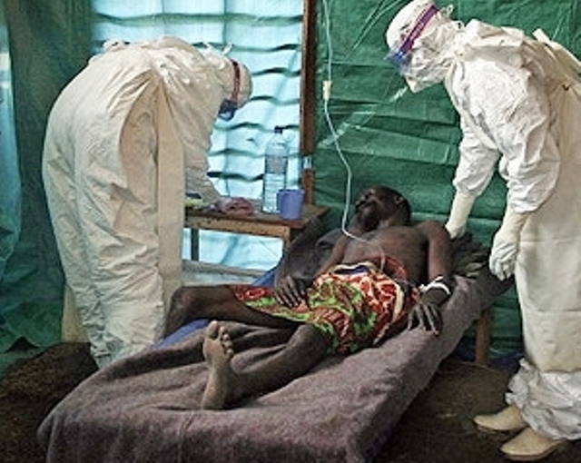 лихорадка эбола