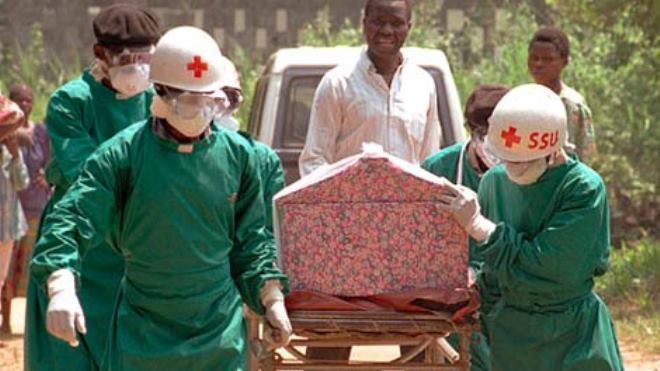 вирус лихорадки эбола