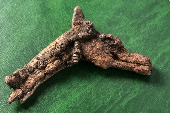 Петербургские археологи нашли игрушки детей, живших 4,5 тыс. лет назад