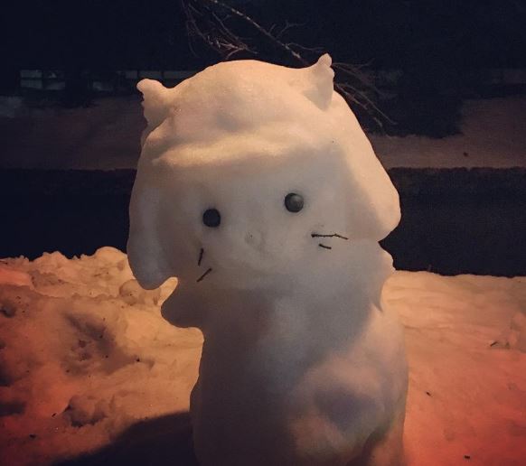 Снежные герои аниме заполнили Японию после аномальных снегопадов