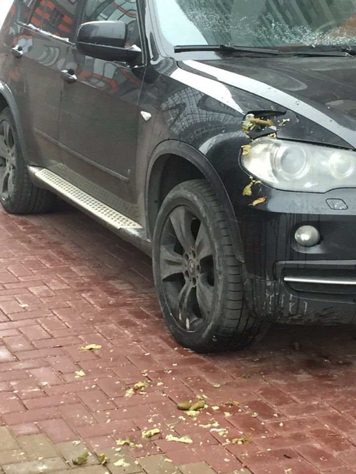 На Дунайском BMW наказали за неправильную парковку банкой соленых огурцов
