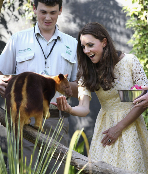 кейт миддлтон и принц уильям последние новости апрель 2014