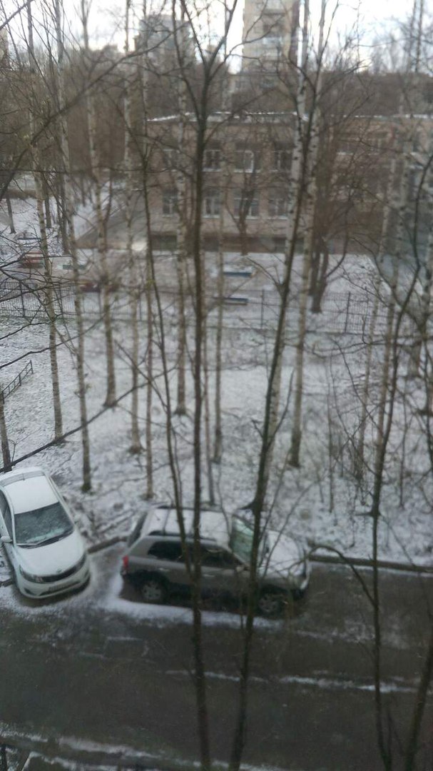 Петербуржцы выкладывают фото и видео с майским снегом