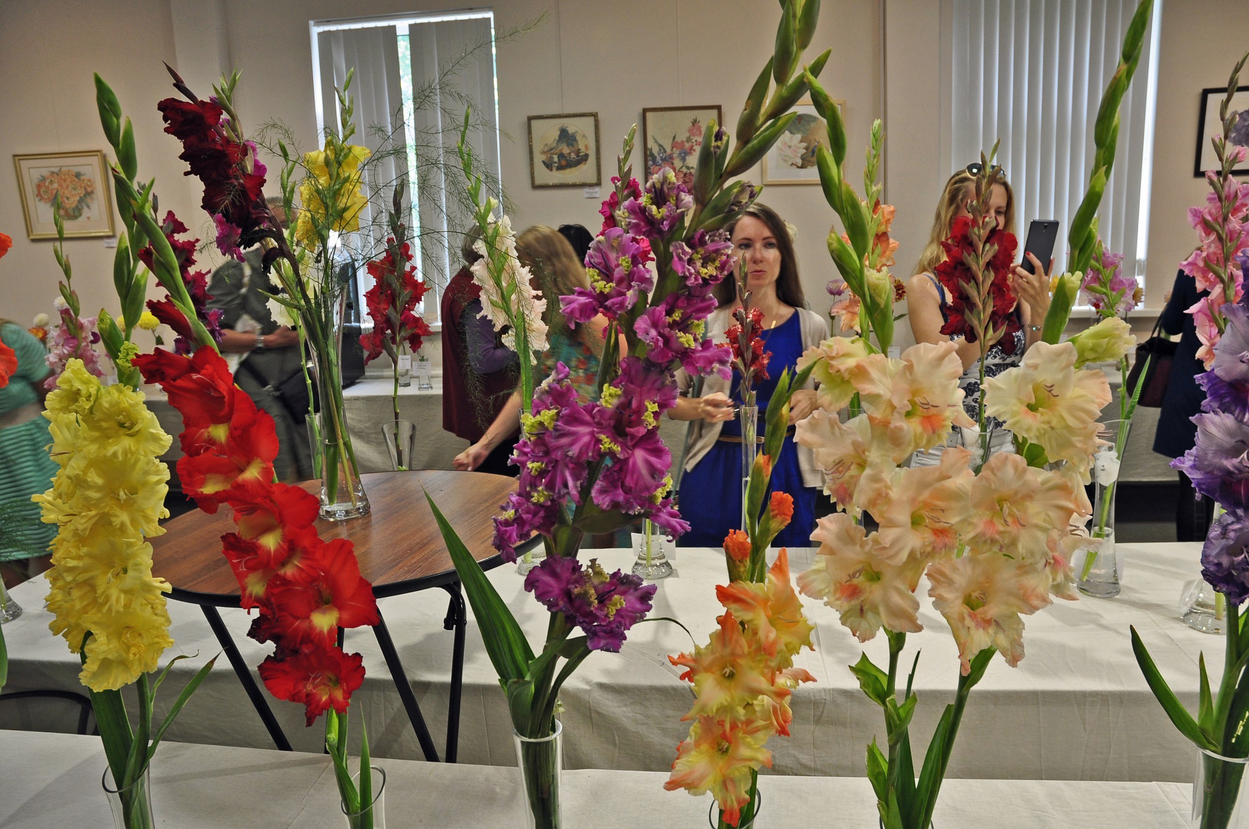 В Ботсаду открывается летняя выставка с лилиями, гладиолусами и георгинами
