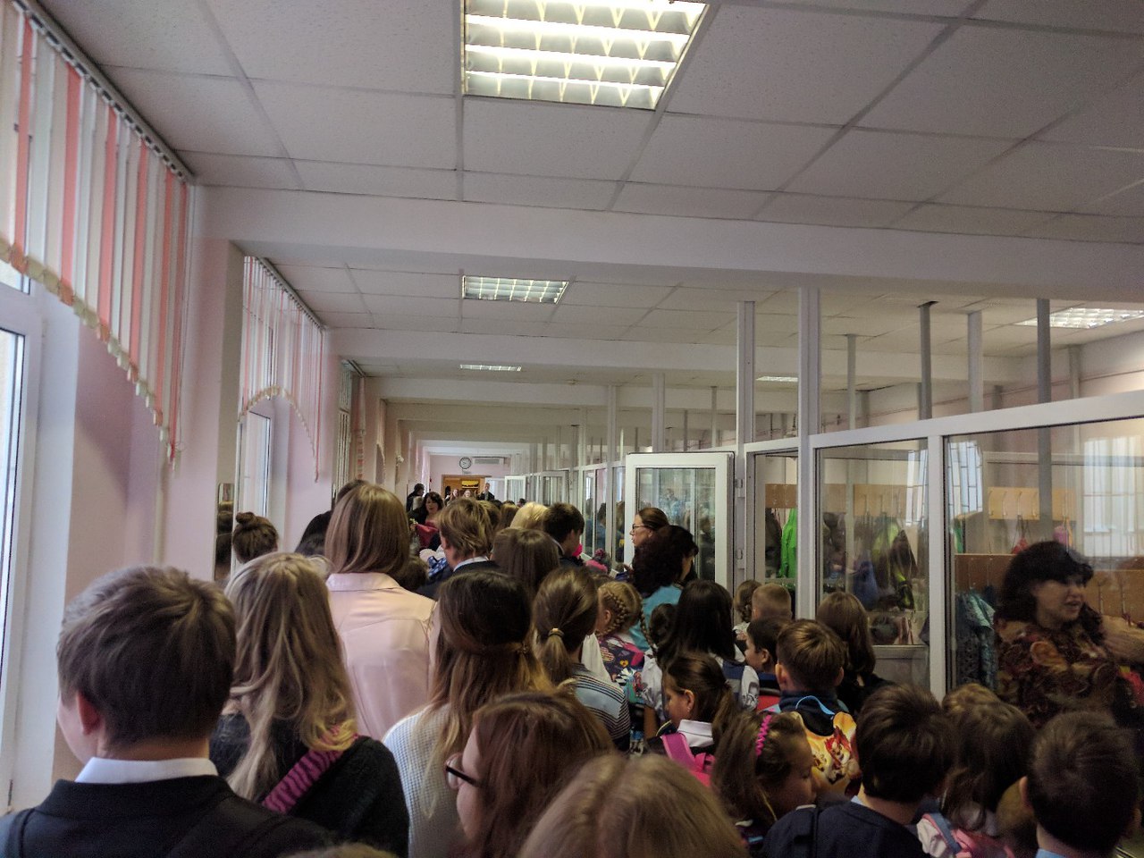 Гимназию в Невском районе эвакуируют из-за анонимного звонка