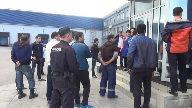 Миграционная полиция нашла мигрантов-нелегалов в промзоне на Волхонском шоссе