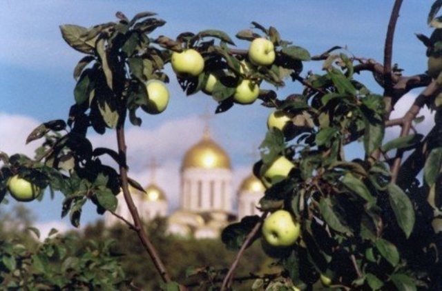 яблочный спас в 2014 году