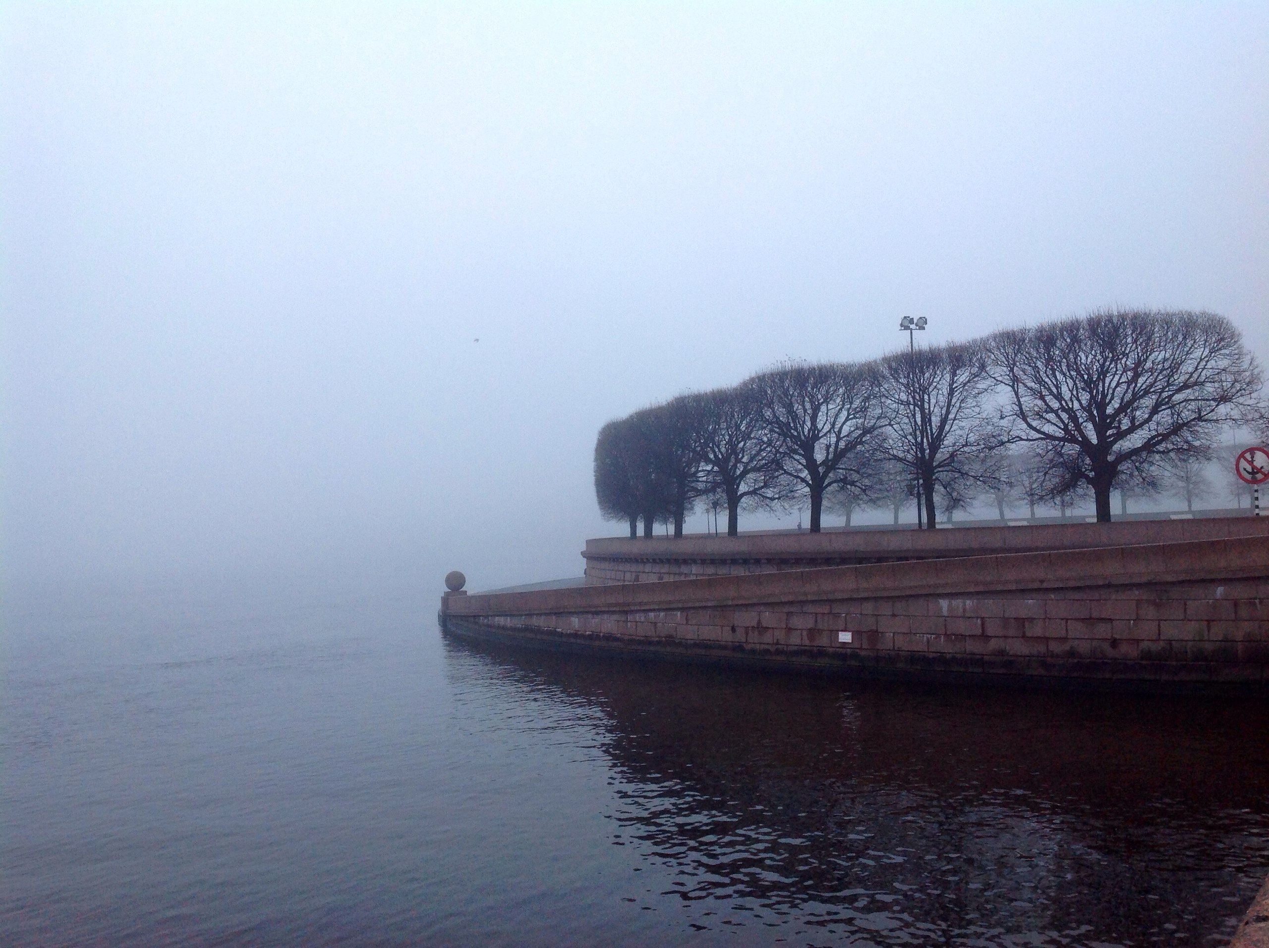 Сильный туман спровоцировал десятки ДТП по всему Петербургу