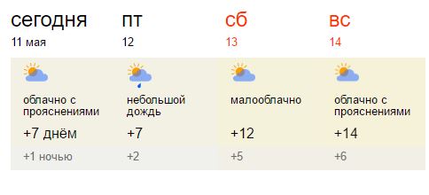Снег и ночные заморозки останутся в Петербурге до выходных