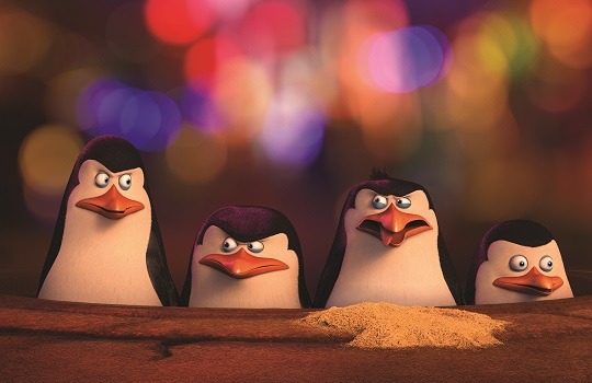 пингвины мадагаскара