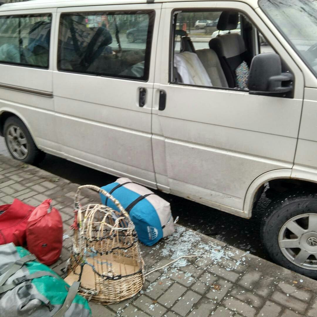 В Петербурге из машины похитили домашнюю ворону Кару